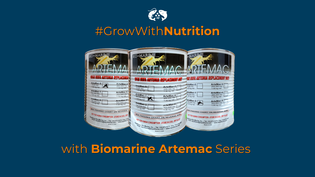 BioMarine x OSI