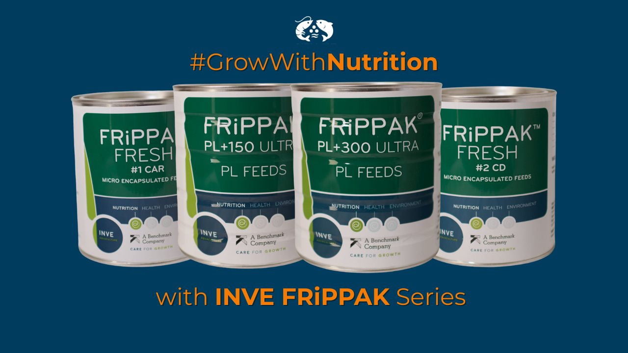 INVE Series Frippak