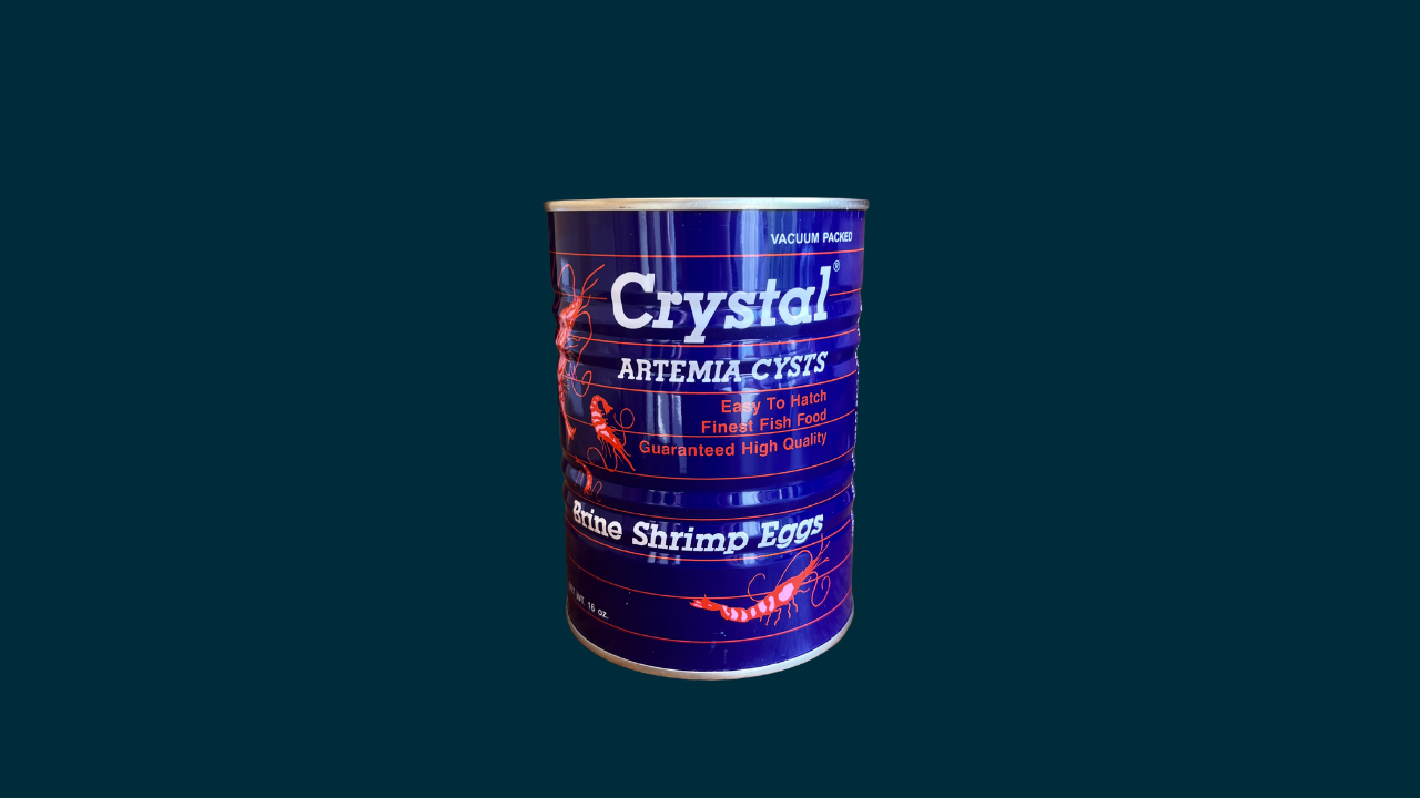 Artemia Crystal O.S.I