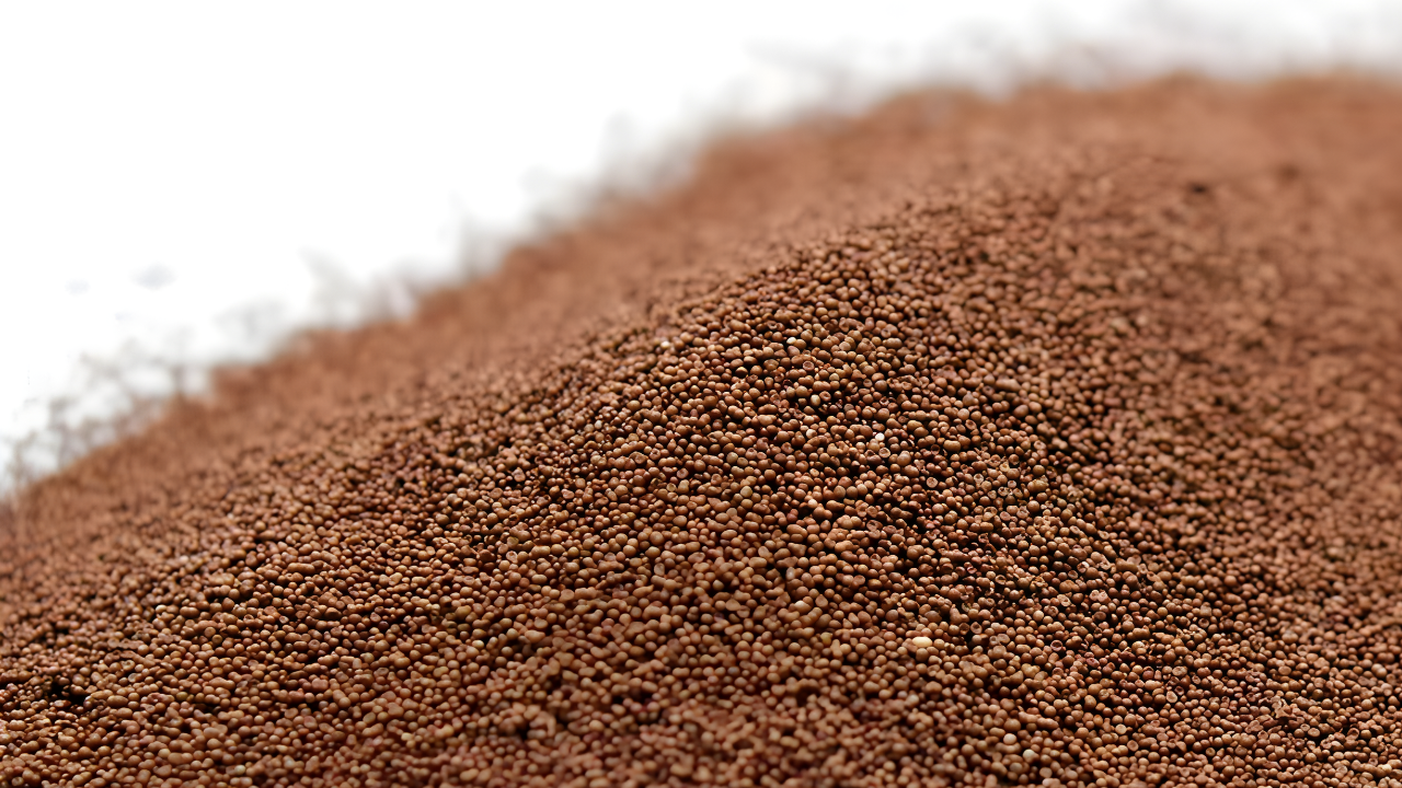 Rahasia Telur Ajaib Artemia: Bisa Tidur Bertahun-tahun!