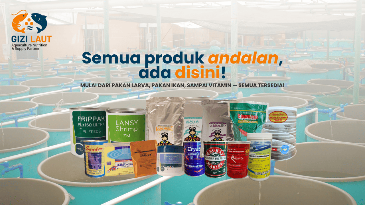 Pakan Benur Berkualitas