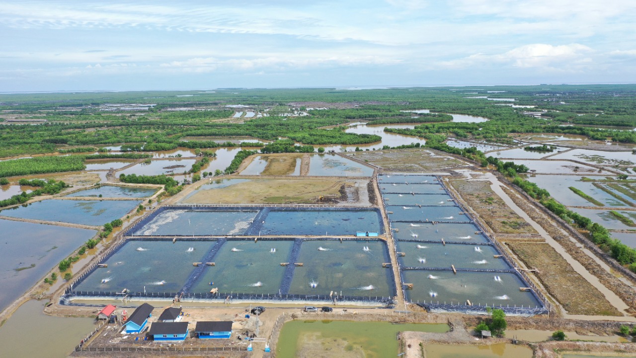 Akuakultur Berkelanjutan